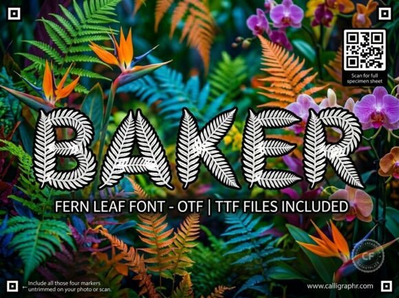 Baker: The Avant-Garde Display Font for Bold Design
