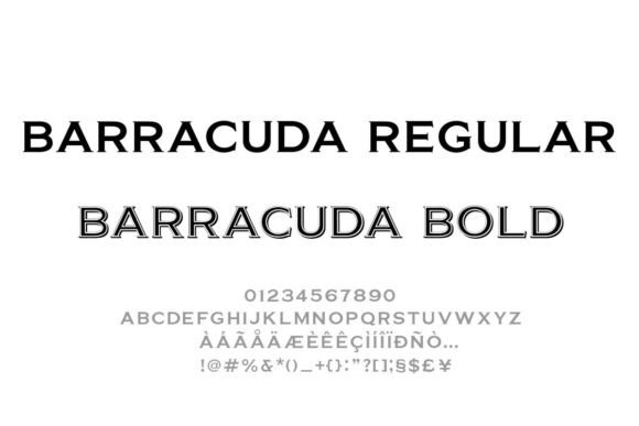 Barracuda: A Typeface for Bold Brand Statements
